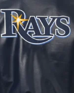 MLB Tampa Bay Rays JH Design Navy Classic Varsity Jacket | Trendy Leather Jackets