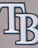 MLB Tampa Bay Rays Reversible Full Snap Fleece Jacket | Trendy Leather Jackets
